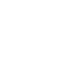 Sehtest Icon
